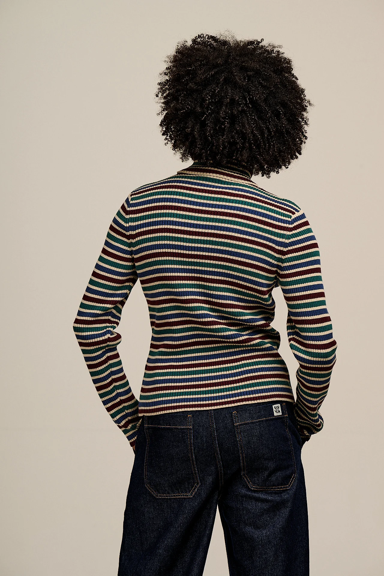 Eva - Knitted Roll Neck Long Sleeve Top in Earthy Stripe - Image 4