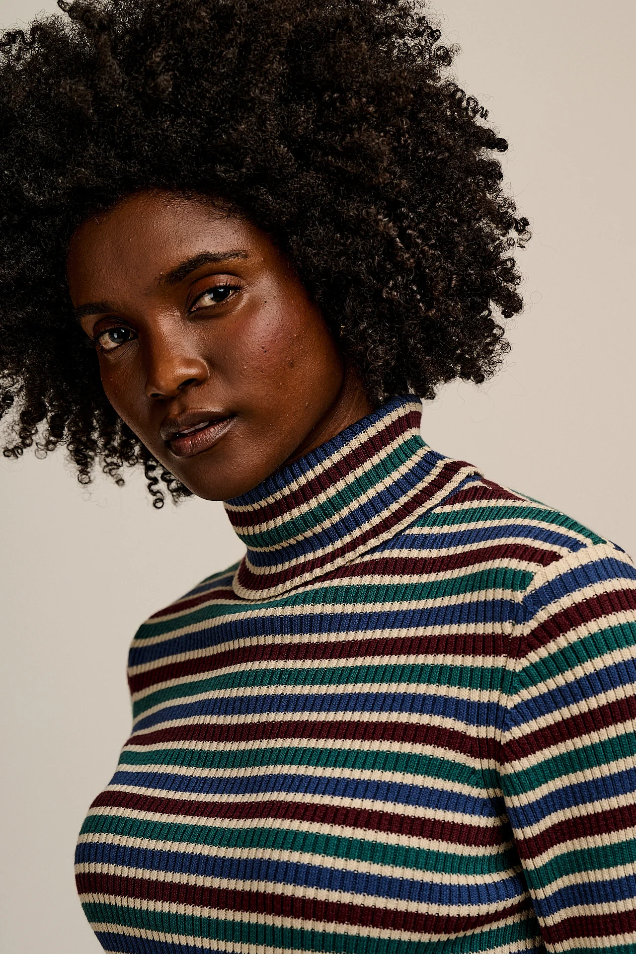 Eva - Knitted Roll Neck Long Sleeve Top in Earthy Stripe - Image 5