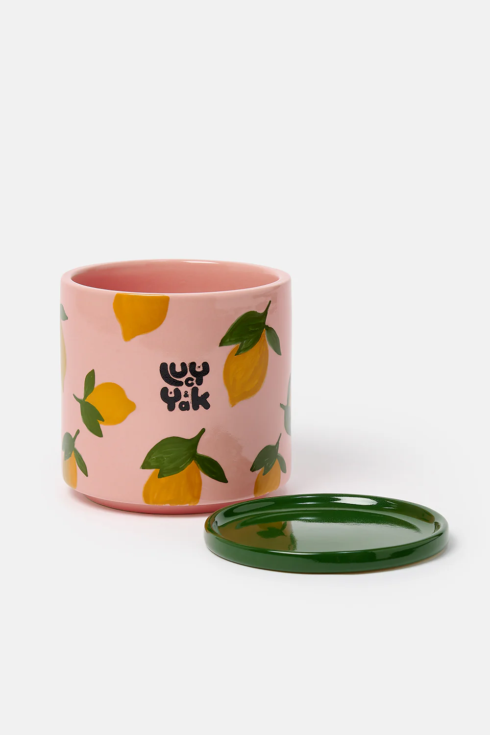 Fern - Ceramic Plant Pot in Lemon Print - Image 3