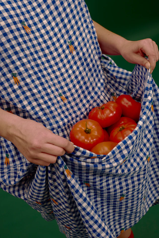 Sacha - Cotton Midi Dress in Gingham Carrot Embroidery - Image 4